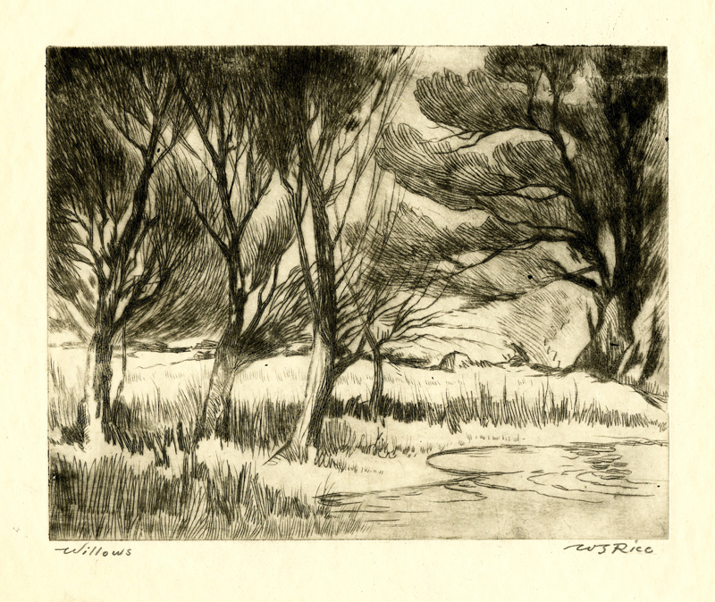 Willows by William Seltzer Rice