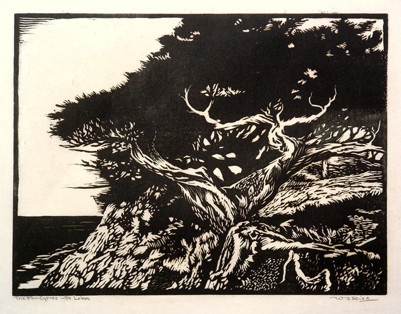 The Fan Cypress-Pt. Lobos by William Seltzer Rice