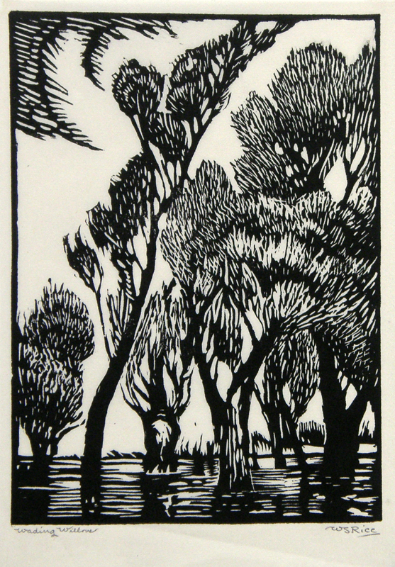 Wading Willows by William Seltzer Rice