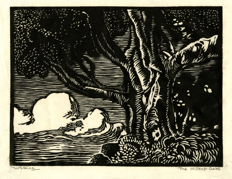The Hilltop Oak by William Seltzer Rice