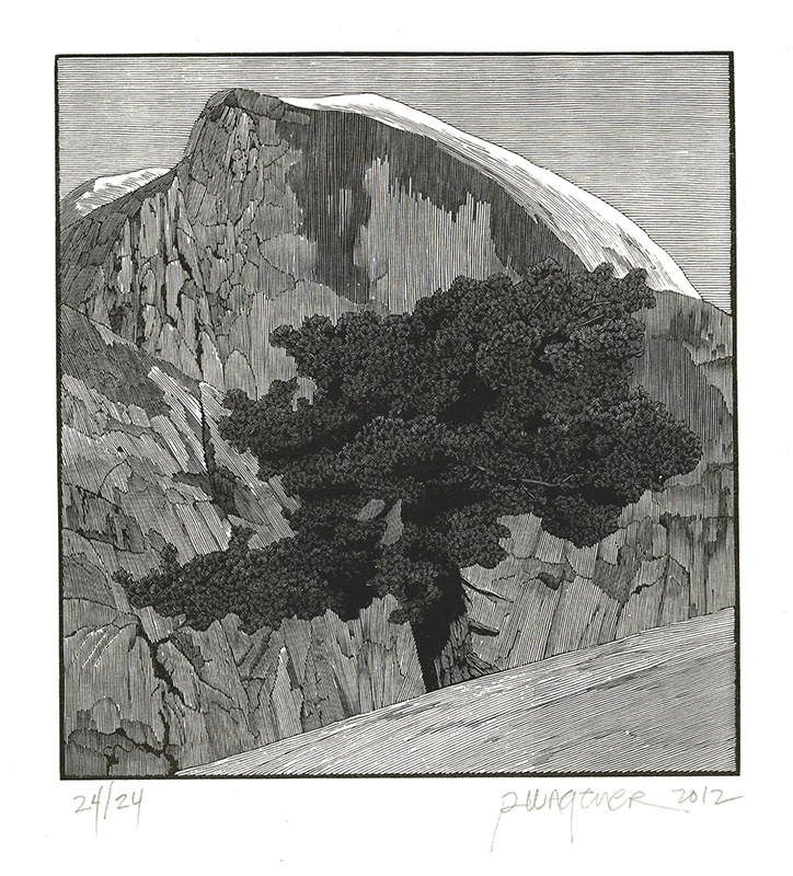 North Dome Tree by Richard Wagener