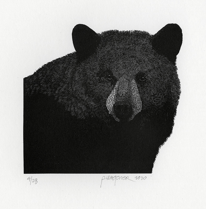 Black Bear from Cascadia by Richard Wagener