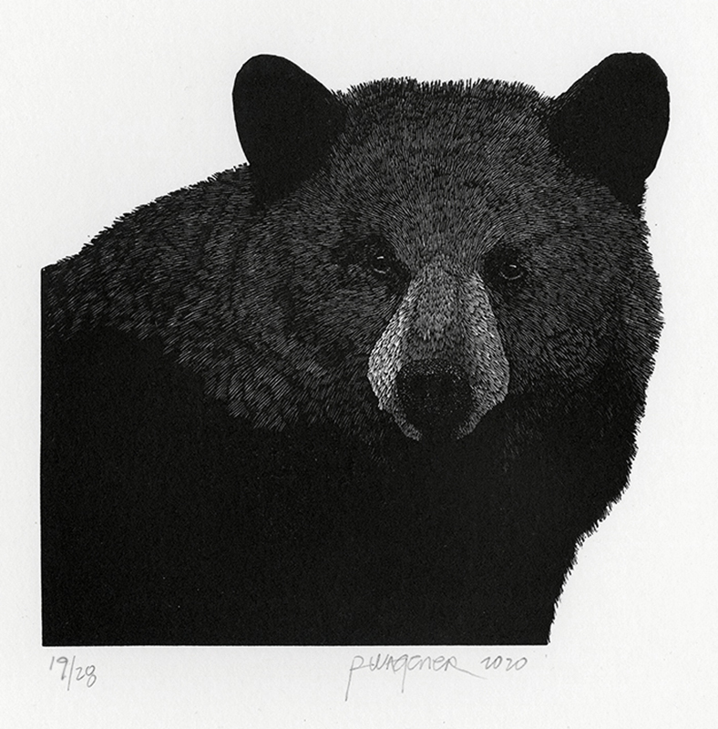 Black Bear by Richard Wagener
