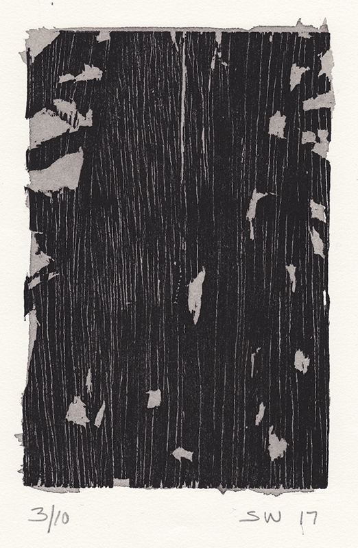 Small Prints 17 #9 by Sandy Walker