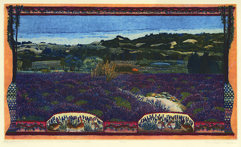 Appellation Bennett Valley, Sonoma County, California (Matanzas Creek) by Gail Ann Packer