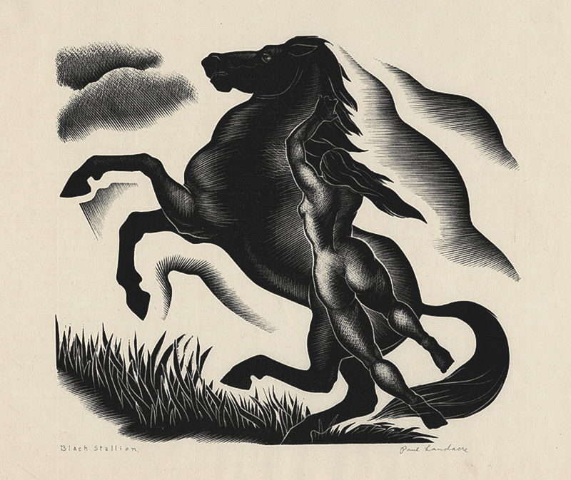 Black Stallion by Paul Hambleton Landacre