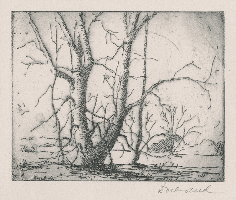 A Cottonwood on the Cimarron River by Doel Reed