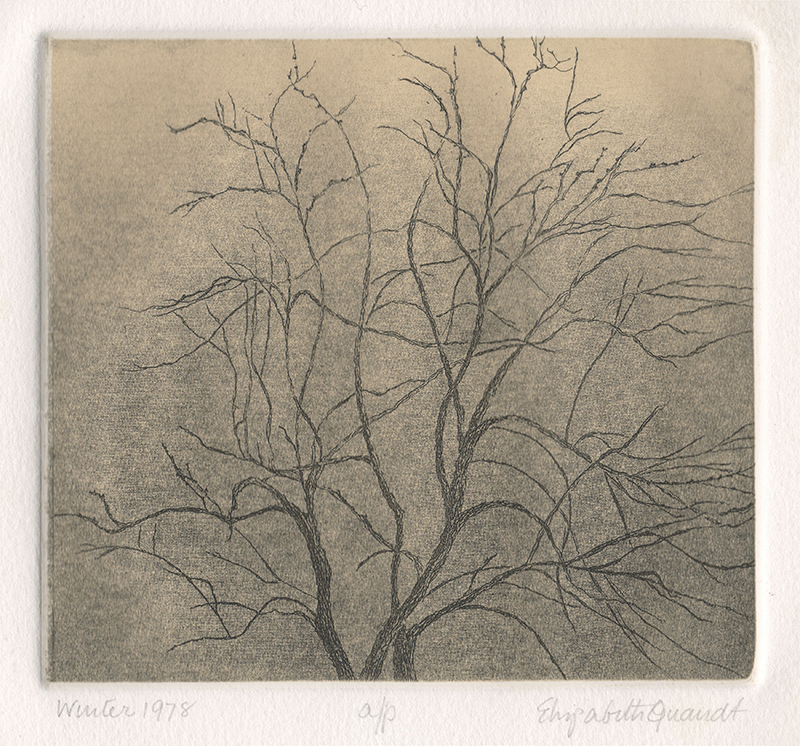 Winter by Elizabeth Quandt