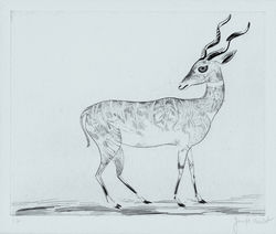 Featured artist work