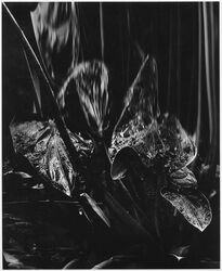 Featured artist work