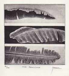 Featured artist work