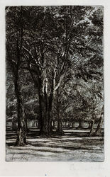 Featured artist work