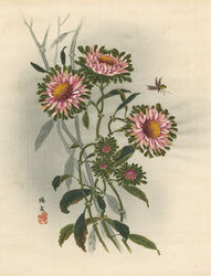 Featured artist work