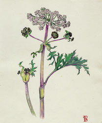 Featured artist work