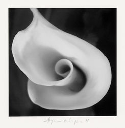 Featured artist work