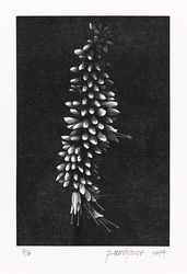 Featured artist work