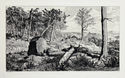 Simplicius in the Wilderness; plate X from Intermezzi, Opus IV by Max Klinger