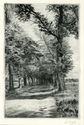 (Tree lined country lane) by Leopold Kayser
