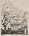 Barnard College by Gerald Geerlings