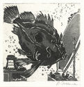 John Dory by Dolby Freeman