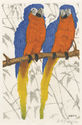 2 Blauflügel Ara (Blue Winged Macaws) by Martin Erich Philipp