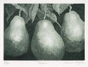 Pears by Mimi Hegler