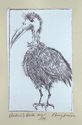 Beekins Bird by Terry Svat