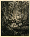 Waldinneres (Forest Interior) by Otto Fischer