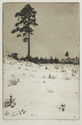 Waldeinsamkeit (Forest Solitude) by Ferdinand Steiniger