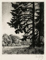 Untitled (landscape) by Georg Fritz