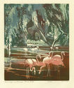 Flamingos on Amazon Mud Flats by Eva Auld Watson