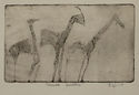 Cobweb Giraffes by Ian Hugo