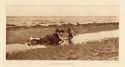 Mushrooms by the Sea by Alfred Stieglitz