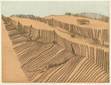 Summer Sands by Robert Freeman Worthley
