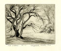 Old Willow by Elizabeth Norton