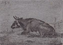 (Cow) by Jacobus Cornelis Gaal