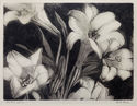 Easter Lilies by William Seltzer Rice