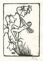 (Wood Sprite Hanging from Flower) by Wanda Agnes Reichman-Roose