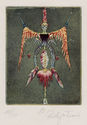 Untitled (surreal bird), from the series Metamorphosis Animalis by Tilopa Monk a.k.a. Rudiger Frank
