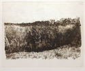 The Marsh by Herbert Lewis Fink