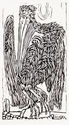 Pelican Preening (from The Gulf of California portfolio) by Edgar Dorsey Taylor