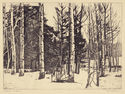 Aspens in Snow by William Seltzer Rice