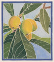 (Study of tropical fruit tree) by William Seltzer Rice