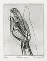 Cheiromancy  - from the Nine Engravings portfolio by Stanley William Hayter