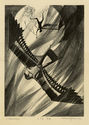 Icarus  a.k.a.  Daedalus & Icarus by Joseph Anthony Mugnaini