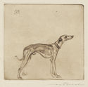 Dog and Cat series: Jim by Max Pollak