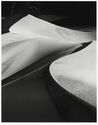 Curved Dune, Eureka Valley, CA by Linda Butler