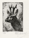 Untitled (Three-point roebuck) by Wilhelm Kuhnert