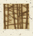 Pines VI by Martha Oatway
