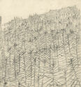(Forest 2) by Pamela Boden